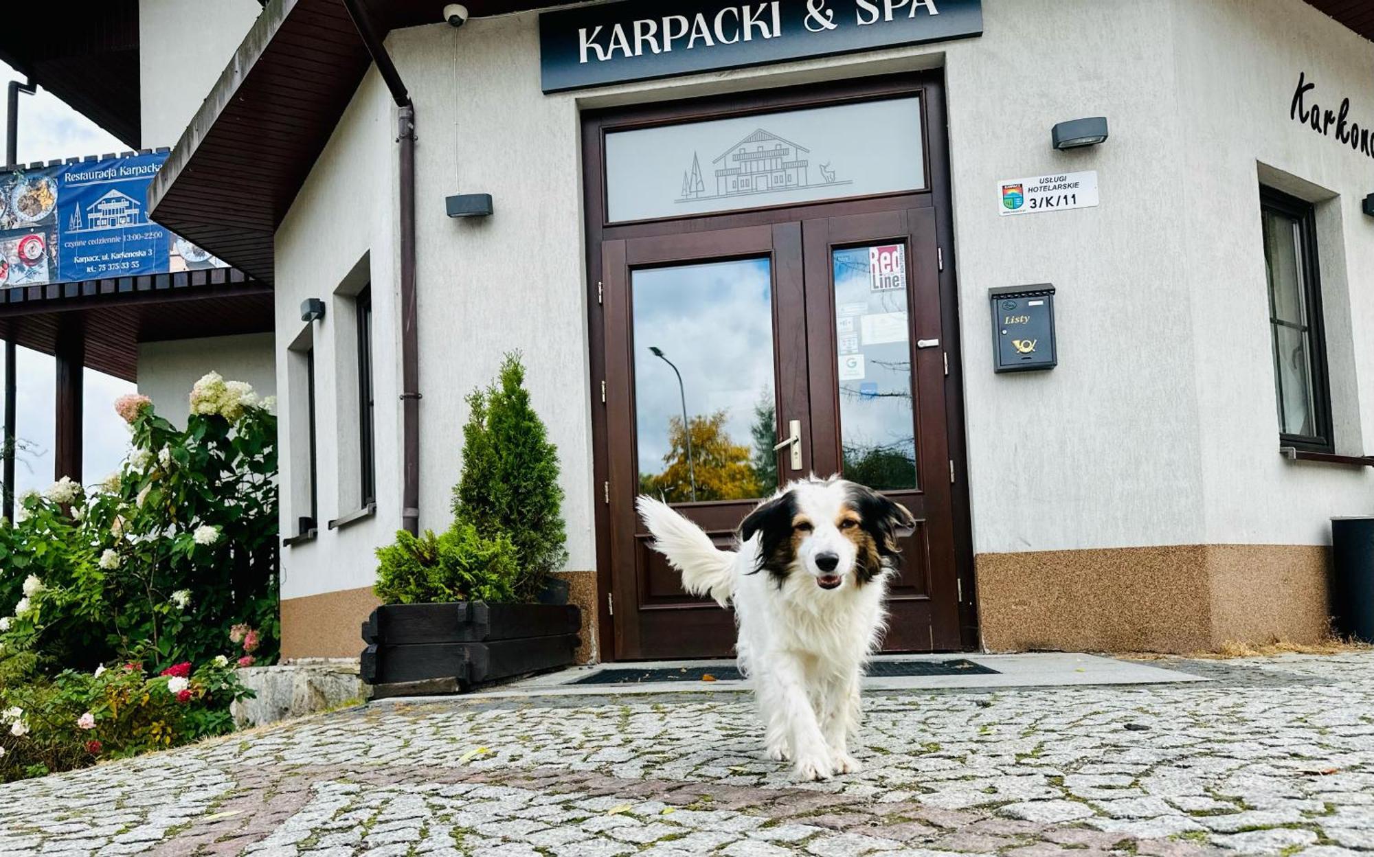 Karpacki & Spa - Blisko Wyciagu, Restauracja, Sala Zabaw, Bar 24H (Adults Only) カルパッチ エクステリア 写真
